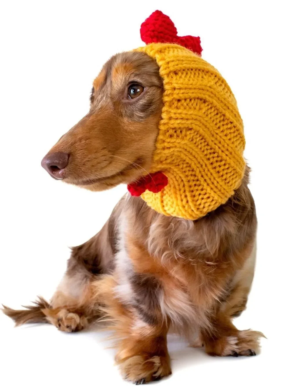Zoo snoods - Rooster size large -New with tags